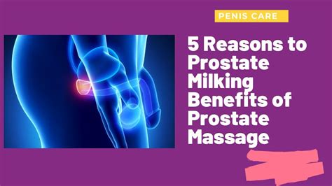 prostate milking|prostate